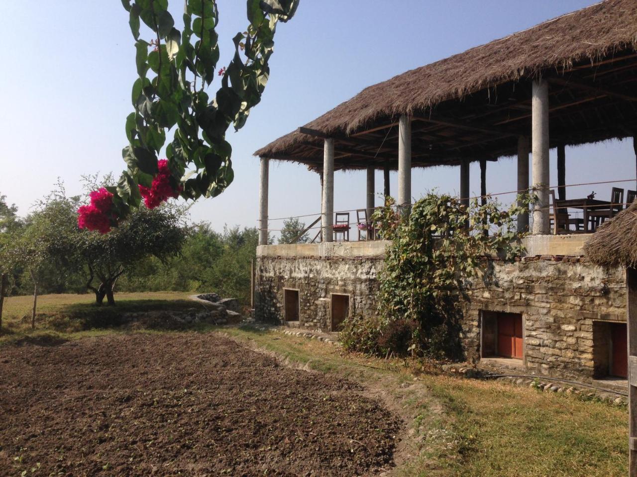 Shanta Ghar A Rustic Guesthouse Chitwan Dış mekan fotoğraf